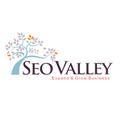 SEOValley Ltd logo