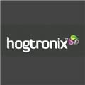 Hogtronix Ltd logo