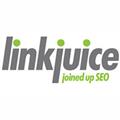 Link Juice Ltd logo