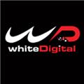WhiteDigital logo
