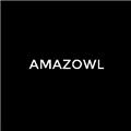 Amazowl logo