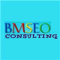 BMSEO Consulting Ltd logo